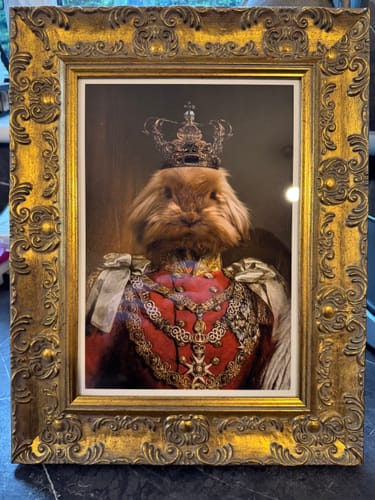 Customer photo review of The Prince - Custom Vintage Pet Portrait