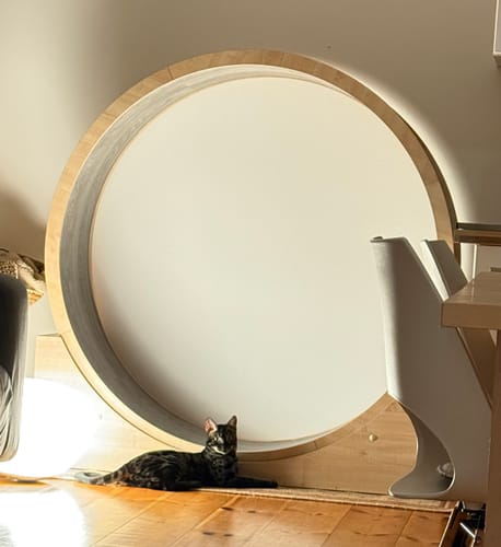 Jacqueline A. review of Elmato Katzenlaufrad Simba image 1 out of 1