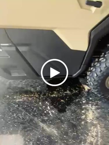 Customer video review of Absolute Acid