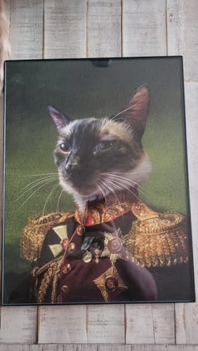 Customer photo review of The General - Custom Vintage Pet Portrait
