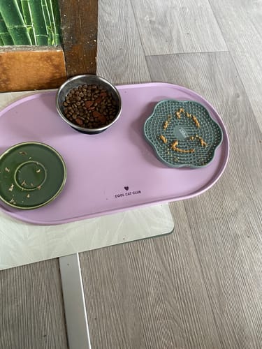 Avis photo d'un client sur Tapis de Gamelle pour chat - Cool Cat Club