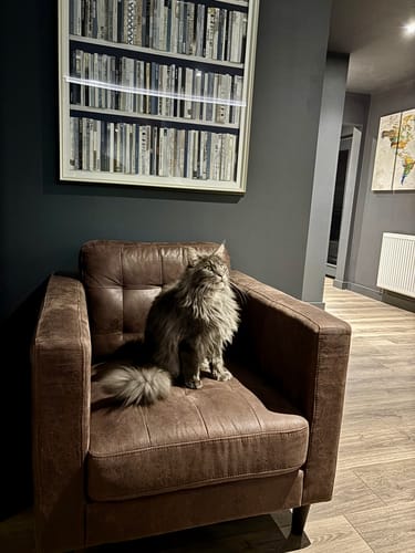 Customer photo review of Through The Decades By Faye Reynolds-Lydon