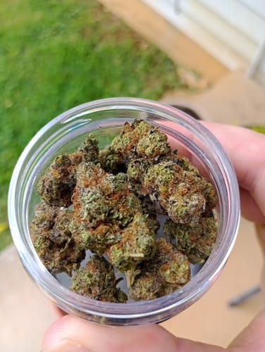 Customer photo review of Ghost Train Haze THCA Flower