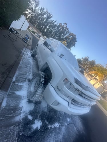 Customer photo review of Bug Remover Kit