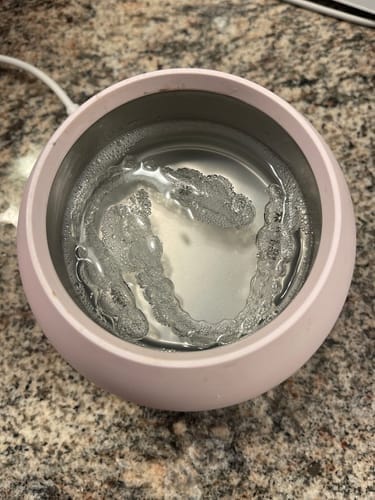 Customer photo review of Dental PRO