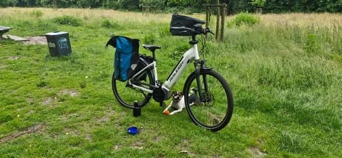 Customer photo review of Kvisp Dog Bike Carrier