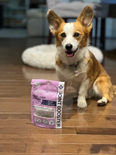 Customer photo review of Beef Joint Booster