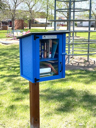 Customer photo review of Composite Two Story Blue Kit Little Free Library