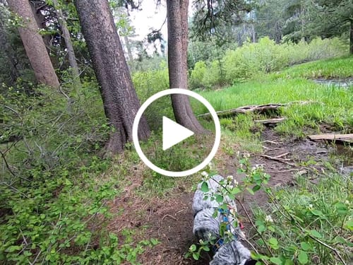 Customer video review of Freedom Joint Drops