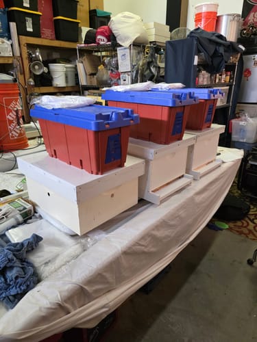Customer photo review of Fully Assembled 10 Frame Premium Beehive Starter Kit + Double Waxed Frames