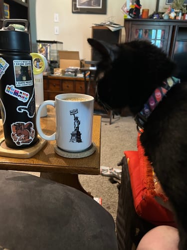 Customer photo review of Statue Of Liberty Resist 15 oz Mug
