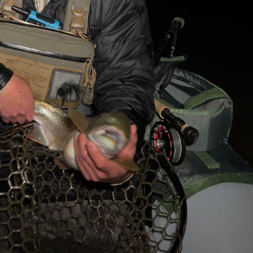 Customer photo review of Ross Evolution R Fly Reel