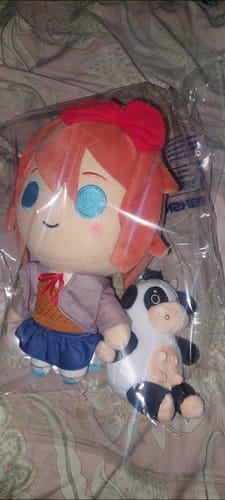 Customer photo review of Doki Doki Literature Club - Sayori Collector's Plush