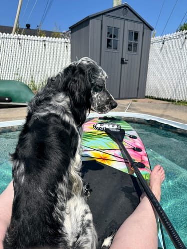 Customer photo review of Tropicana- 10'6 All-around- Paddle board gonflable