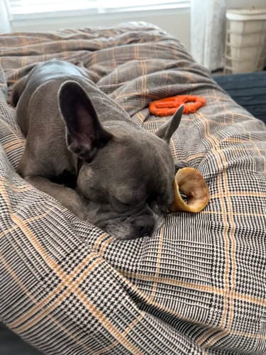 Customer photo review of Smoked Beef Marrow Bone