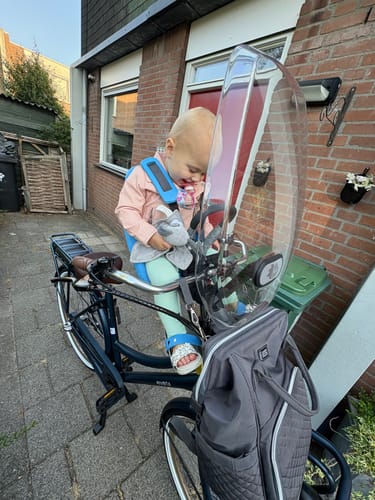 Customer photo review of E-Cargo N3