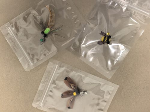 Customer photo review of 71-Inch Retractable Cat Teaser Wand with Insect-Shaped Feather Heads | Choose Wand + 3-Head Set or 3 Replacement Heads Only