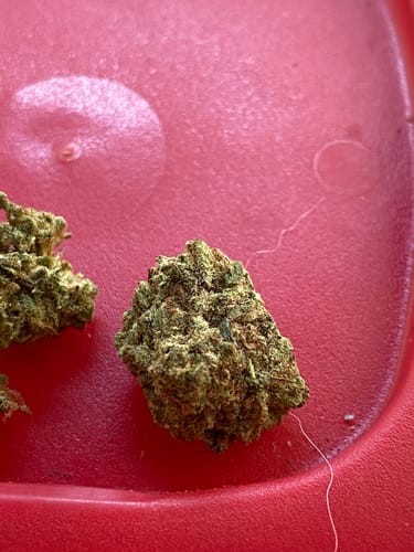 William J. review of Greenhouse THCa Flower image 1 out of 4