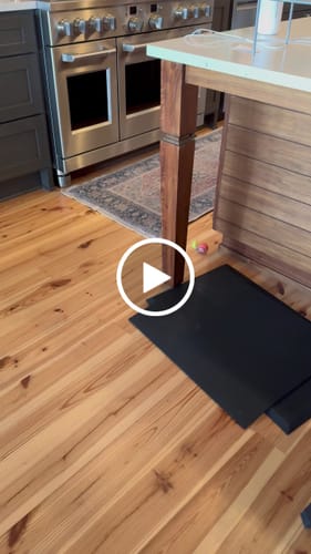 undefined review of SPEEDY TAIL 2.0 image 1 out of 1