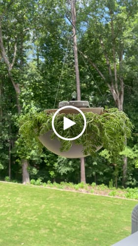 Customer video review of Maria 3-in-1 Bird Feeder, Planter, and Fountain