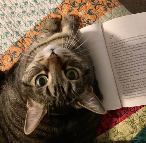 Customer photo review of Patsli Immune