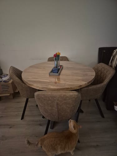 Customer photo review of Brione stoel
