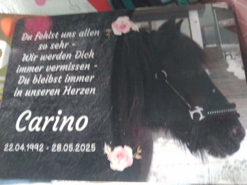 Customer photo review of Pferde Gedenktafel mit Foto & Spruch (UV- & Wetterfest)