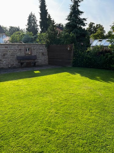 Customer photo review of Animatio® Profi-Rasendünger