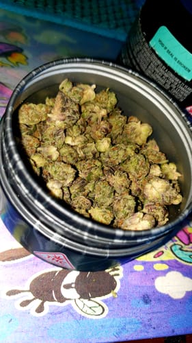 Customer photo review of Jungle Cake - Greenhouse THCA (Smalls)