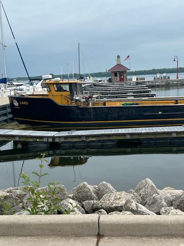 Customer photo review of Plain Dog - Custom Knitted Blanket