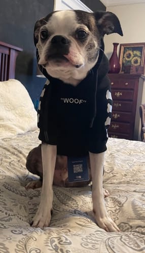 Customer photo review of "WOOF" Dog Hoodie - Black & Reflective