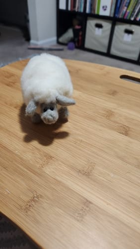 Morag B. review of White Sheep Mini Needle Felting Kit image 1 out of 1