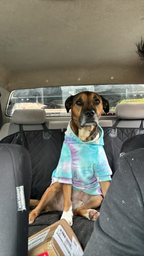 Customer photo review of Velvet Human Hoodie - 90s Retro