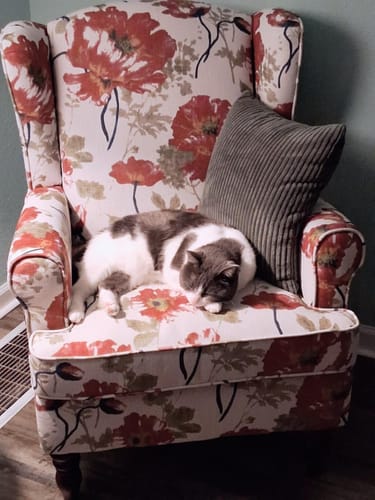 Customer photo review of HOMREST Fabric Accent Chair, Modern Upholstered Armchair, Leisure Single Sofa Chair for Living Room Bedroom Reading, Pink Floral