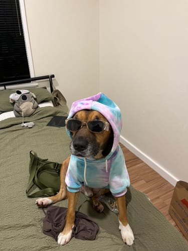 Customer photo review of Velvet Human Hoodie - 90s Retro