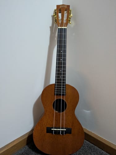 Customer photo review of AQ11U Tenor Strings with DGBE baritone tuning Aquila Corde Armoniche