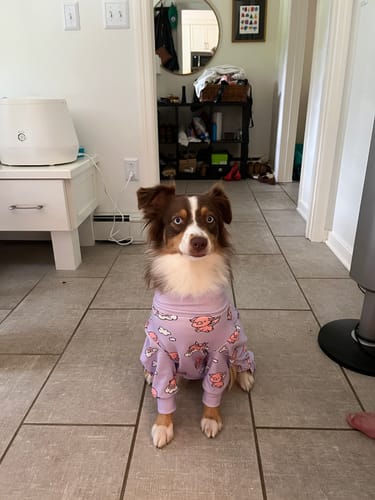 Customer photo review of Dog Pajama Prints