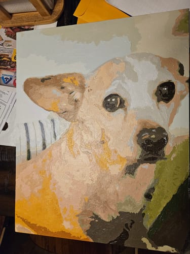 Customer photo review of Custom Paint by Numbers Kit