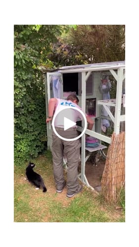 Customer video review of Unisex t-shirt