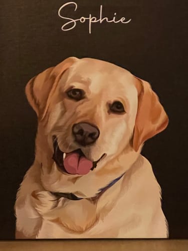 Customer photo review of Pet Art Canvas Wrap