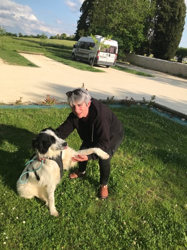 Customer photo review of Collier Anti Aboiement PuppySafe