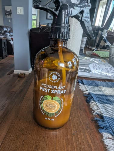 Customer photo review of Houseplant Pest Spray