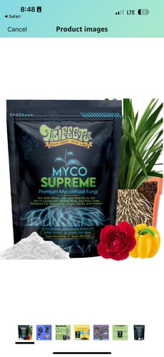 Customer photo review of Trichocereus Scopulicola | Spineless San Pedro Cactus