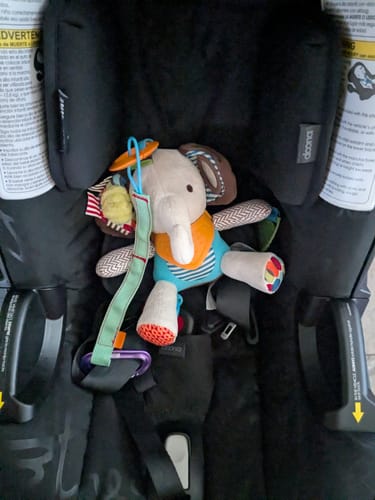 Customer photo review of Trail Tether: Hiking-Rated Pacifier Clip and Multi-Use Strap