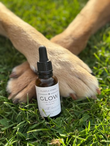 Customer photo review of CALM – NATÜRLICHES BERUHIGUNGSMITTEL HUNDE