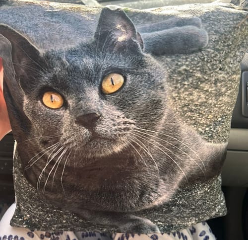 Customer photo review of Avec photo - Coussin personnalisé