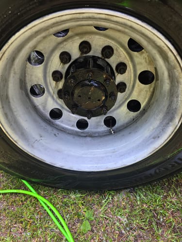 Customer photo review of Absolute Acid