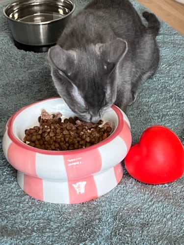 Avis photo d'un client sur Croquettes Chaton Sans Céréales - Poulet & Huile de Saumon