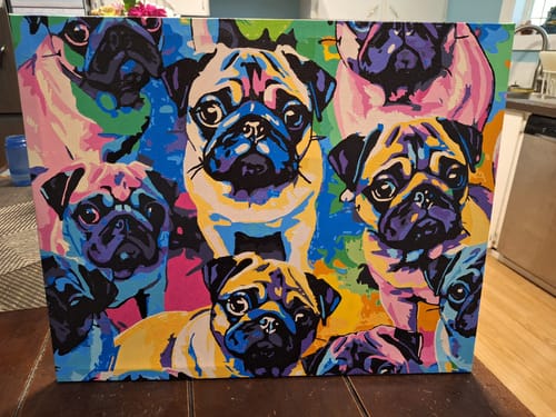 Customer photo review of Pug Family
