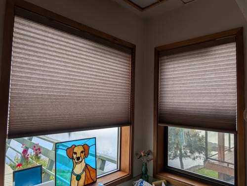 Customer photo review of SmartWings Motorized Light Filtering Cellular Shades Hazel